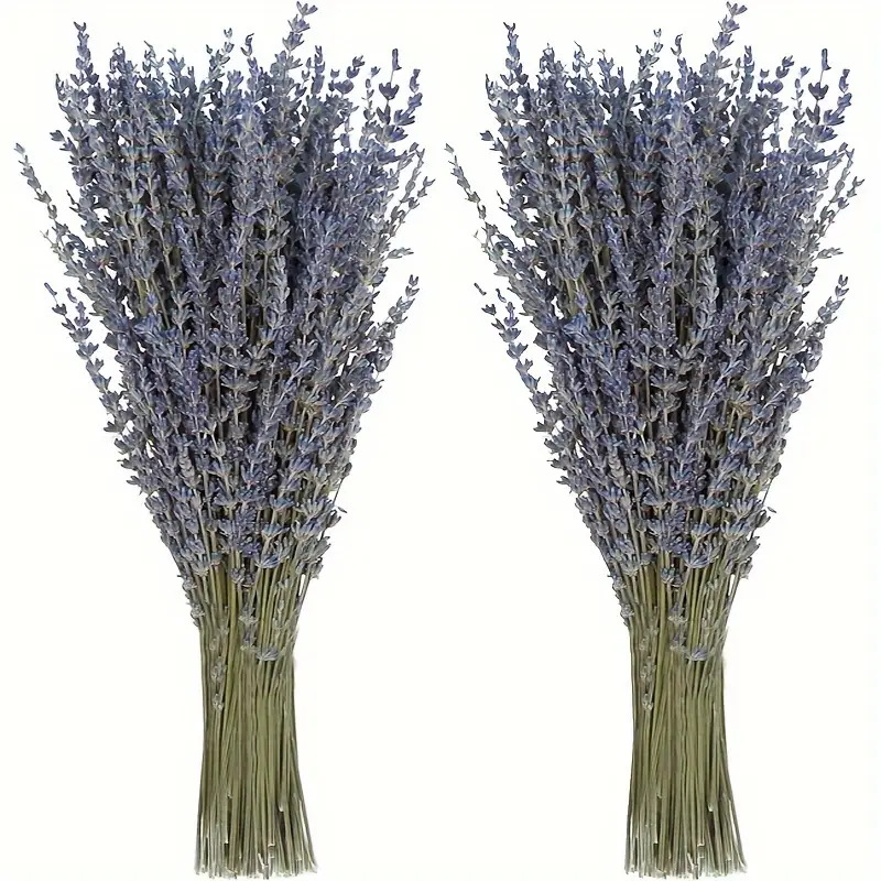 Dried Flower Bunch - 200 Pezzi/Mazzo di Fiori di Lavanda
