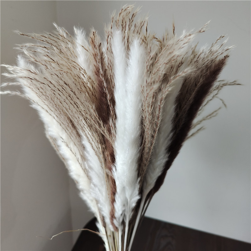 Dried Flower Bunch - 15/30 pezzi bouquet di fiori secchi