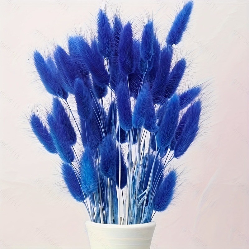 Dried Flower Bunch - Fiori Secchi Imitazione Coda di Coniglio,