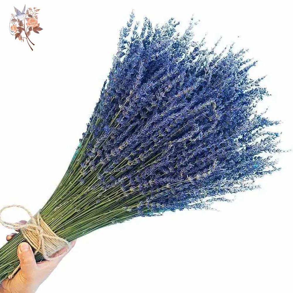 Dried Flower Bunch - Bouquet di Lavanda Naturale Essiccata 50g,