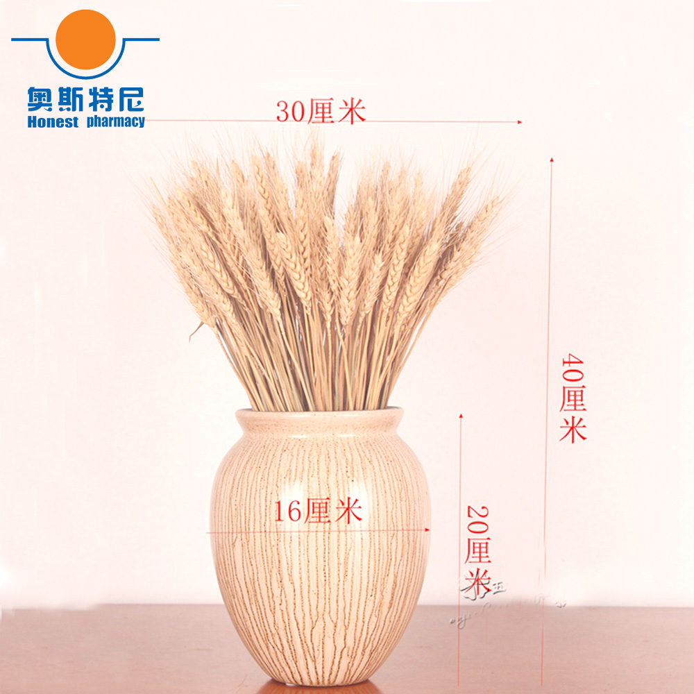 Dried Flower Bunch - 50 pz bouquet di fiori secchi