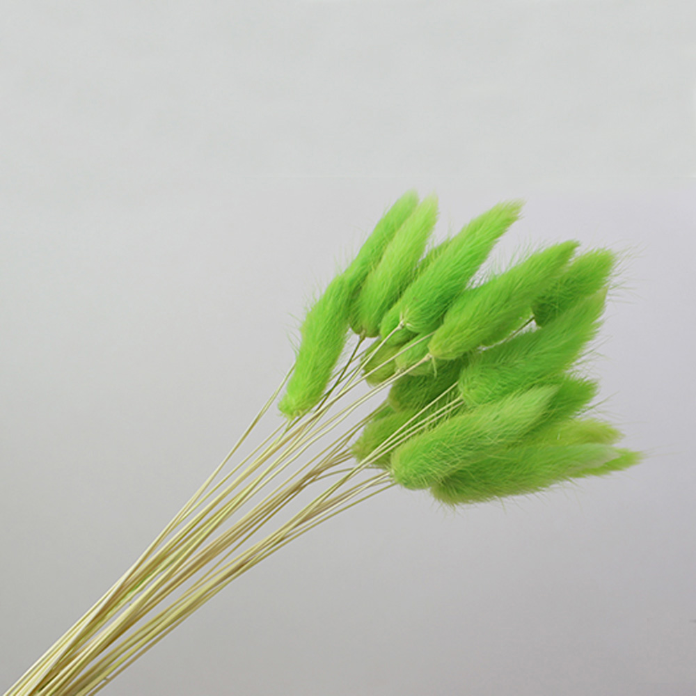 50 pz bouquet di fiori natural - Dried Flower Bunch recensione e prezzo