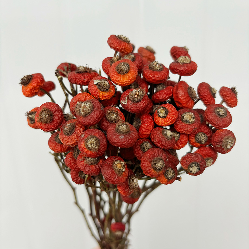 10 Pezzi/Buquet di Fiori di Ro - Dried Flower Bunch recensione e prezzo