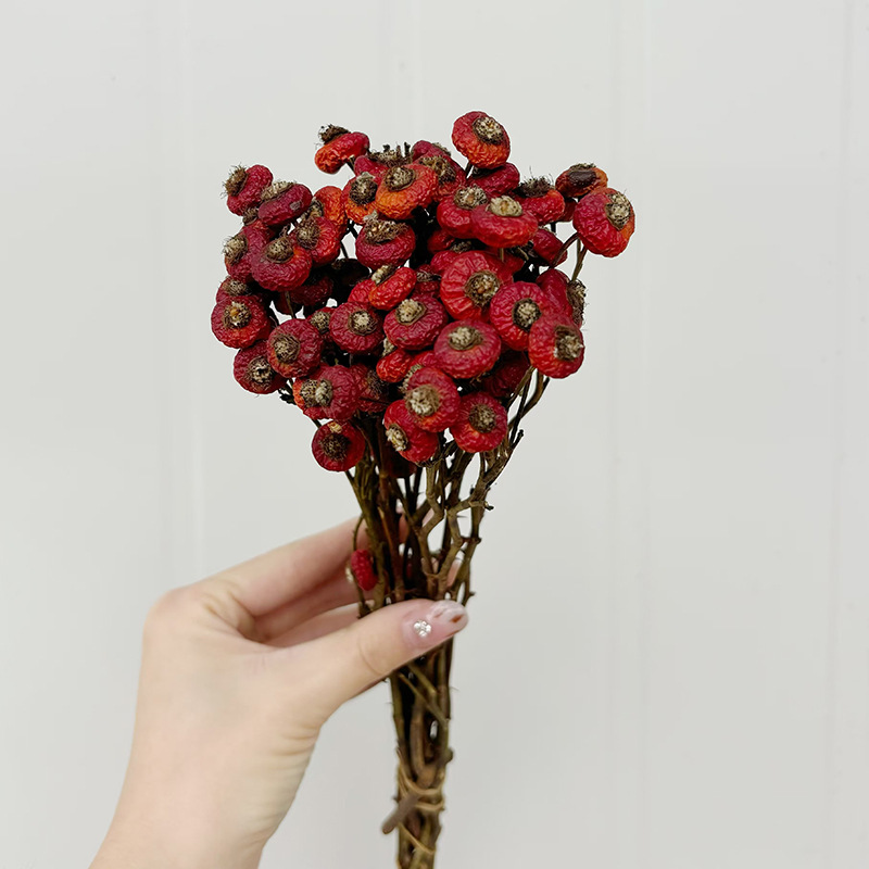 10 Pezzi/Buquet di Fiori di Ro - Dried Flower Bunch recensione e prezzo