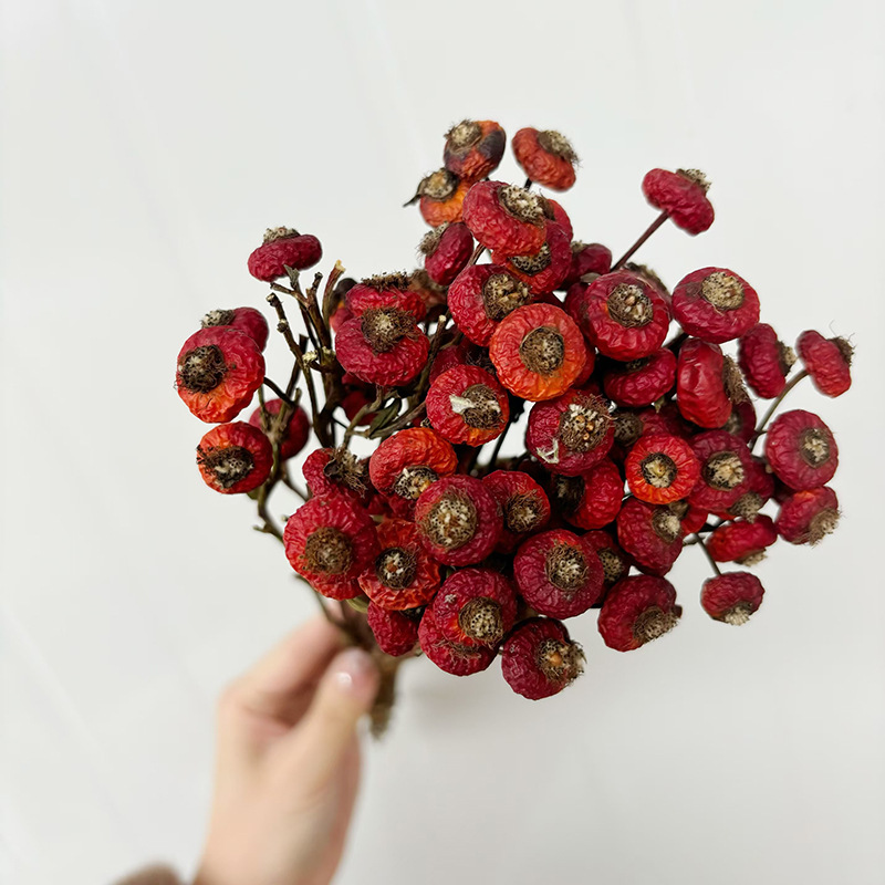 10 Pezzi/Buquet di Fiori di Ro - Dried Flower Bunch recensione e prezzo