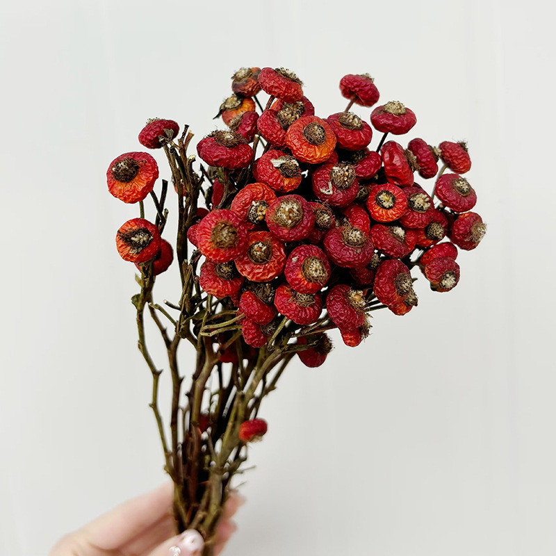 10 Pezzi/Buquet di Fiori di Ro - Dried Flower Bunch recensione e prezzo