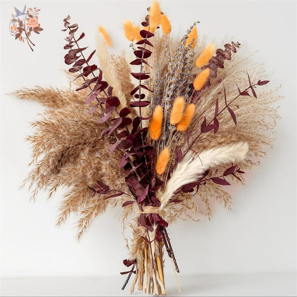 75 pezzi di pampa essiccata fo - Dried Flower Bunch recensione e prezzo