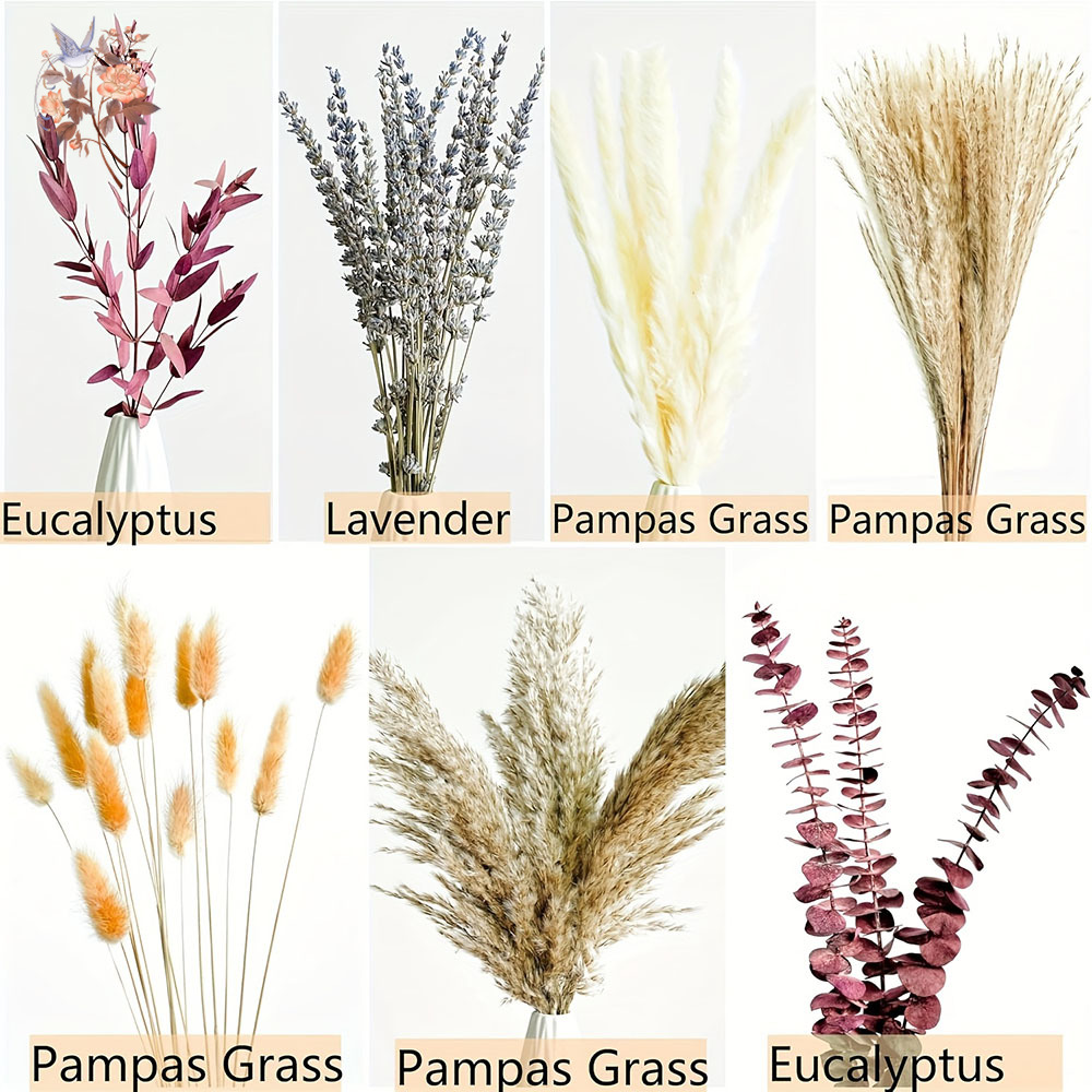 75 pezzi di pampa essiccata fo - Dried Flower Bunch recensione e prezzo