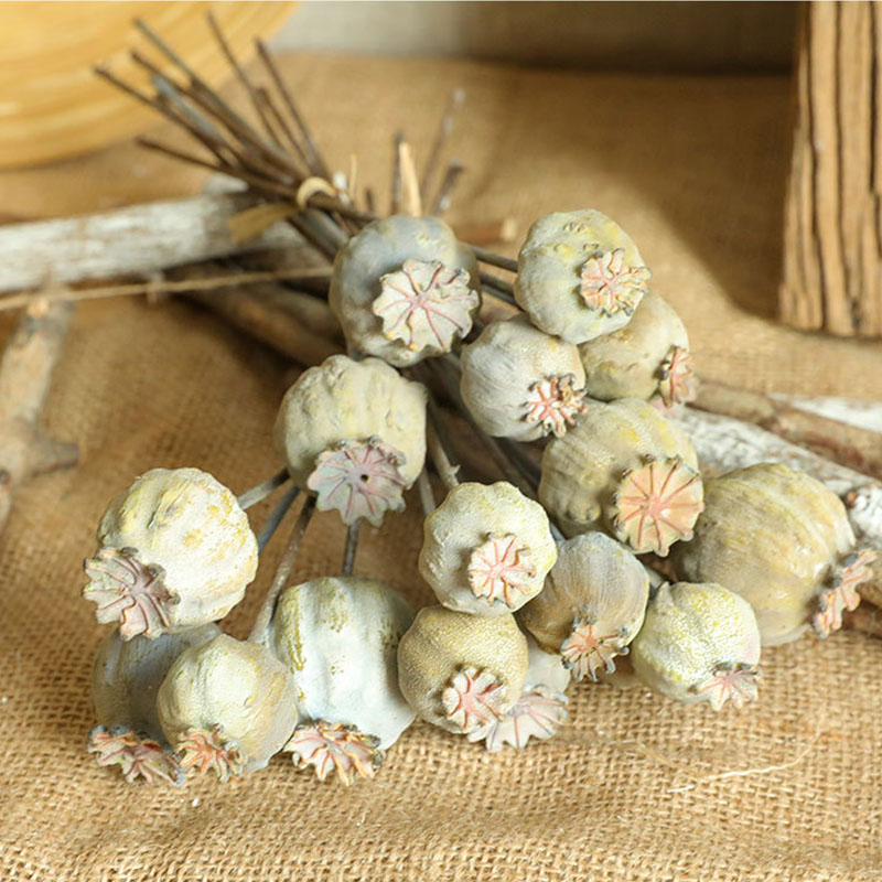 6 teste Poppies frutta mazzo d - Dried Flower Bunch recensione e prezzo