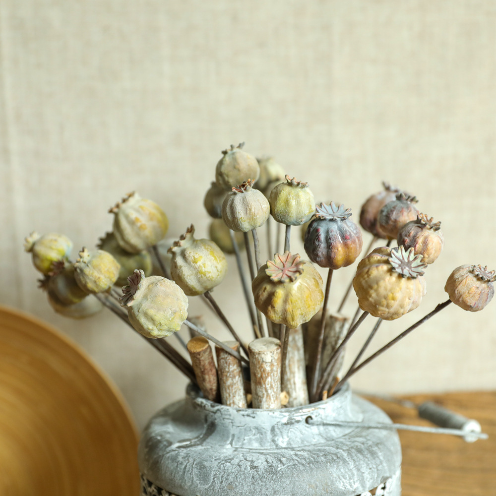 6 teste Poppies frutta mazzo d - Dried Flower Bunch recensione e prezzo