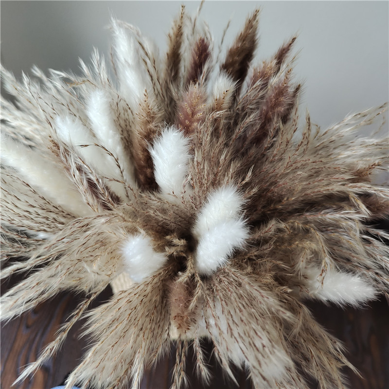 15/30 pezzi bouquet di fiori s - Dried Flower Bunch recensione e prezzo