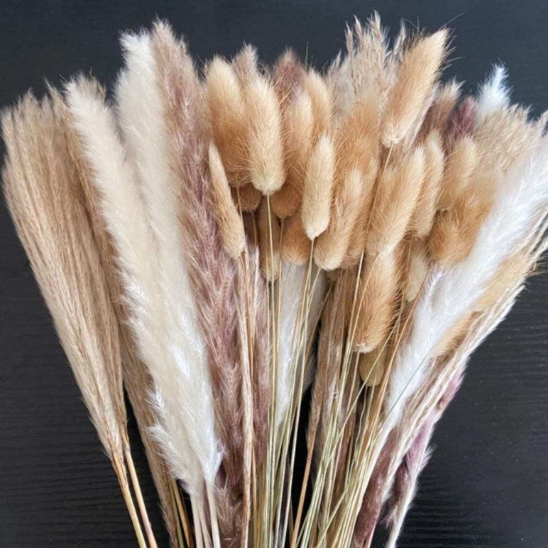 Bulk 100 pezzi steli erba pamp - Dried Flower Bunch recensione e prezzo