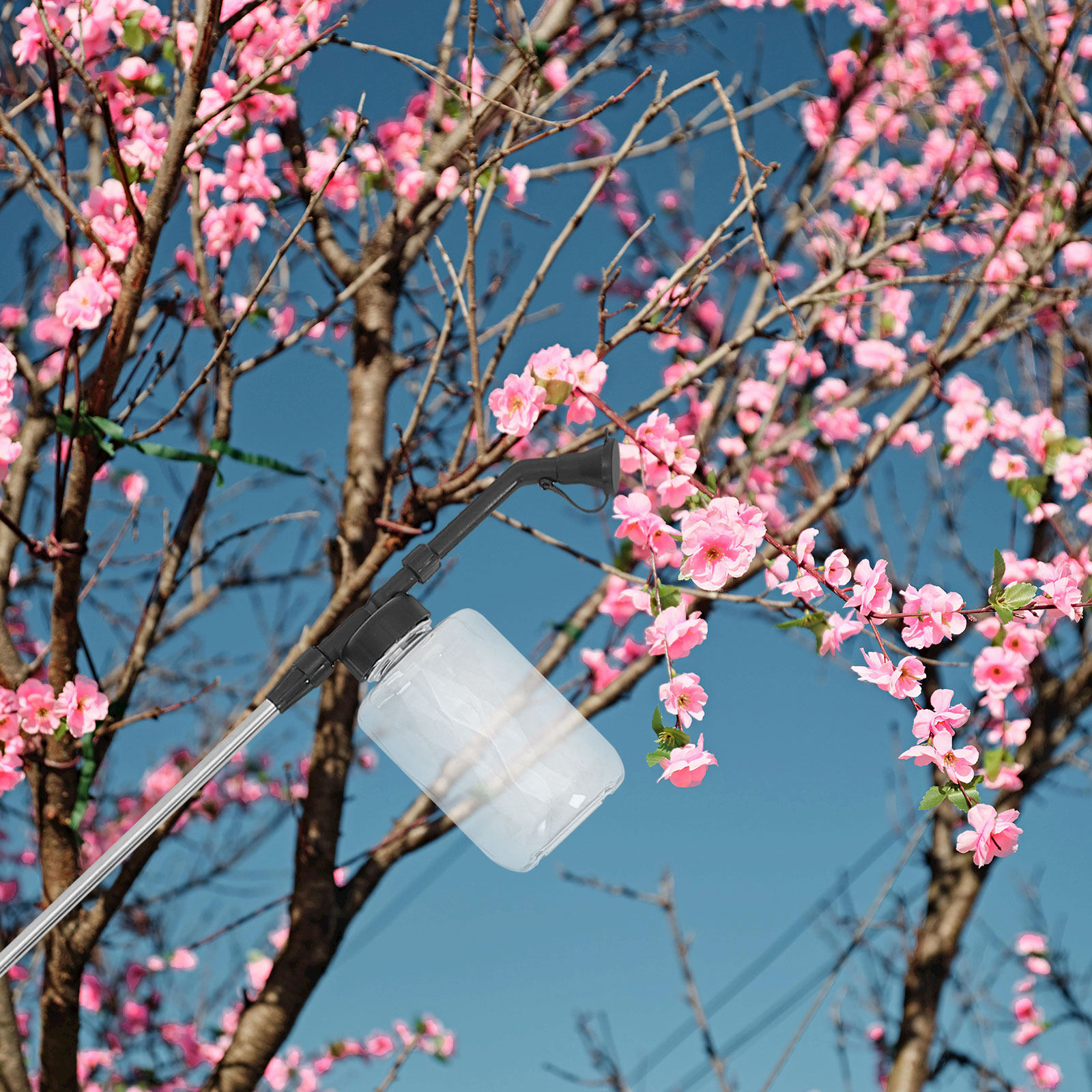 Bacchetta per pollinazione man - Flower Supplies recensione e prezzo