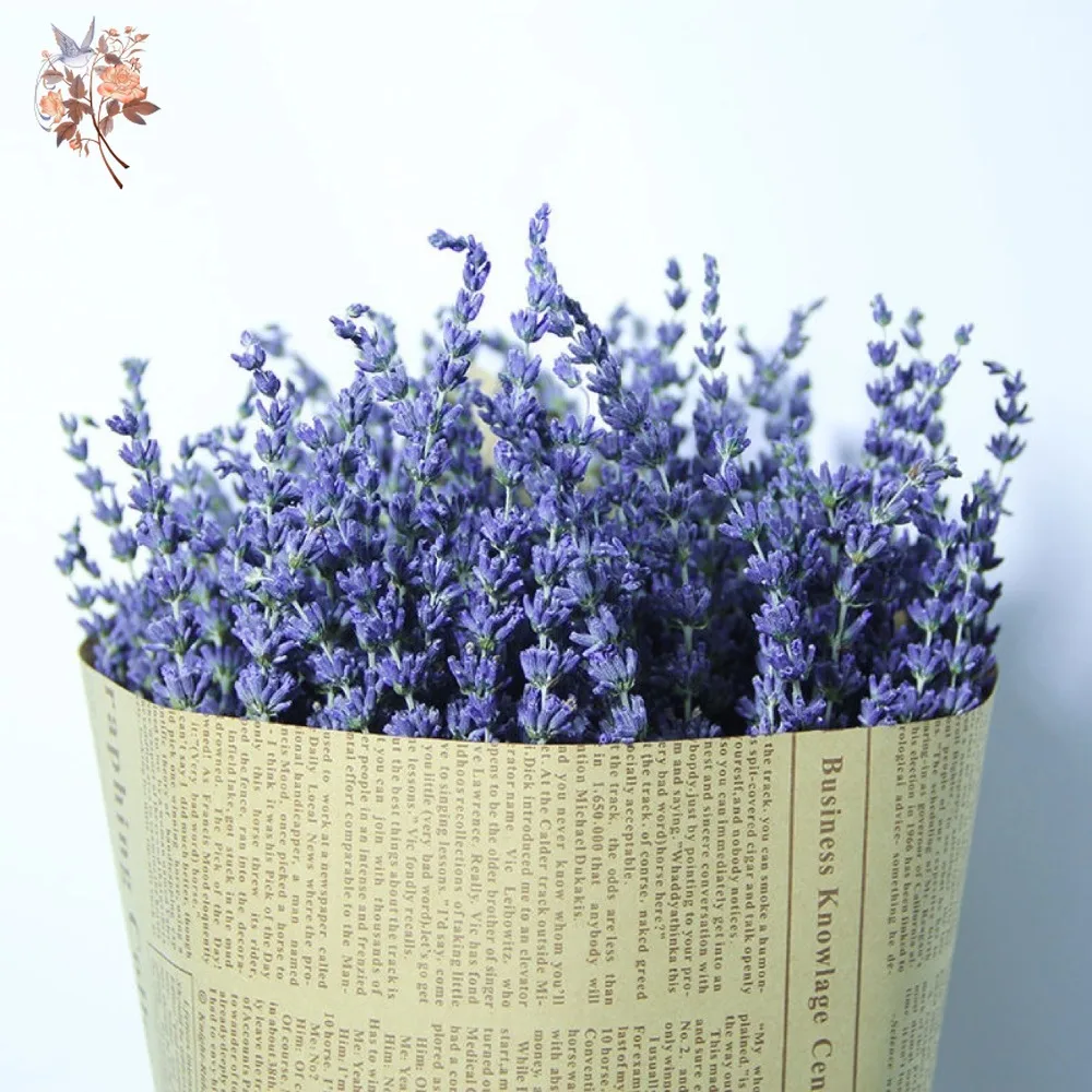 Bouquet di Lavanda Naturale Es - Dried Flower Bunch recensione e prezzo