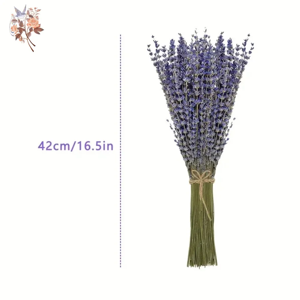 Bouquet di Lavanda Naturale Es - Dried Flower Bunch recensione e prezzo