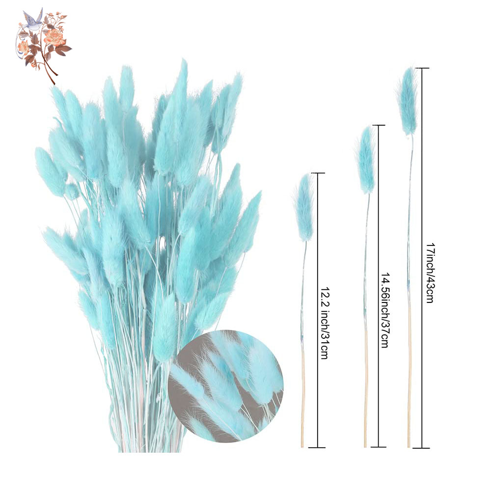 100 pezzi code di coniglio nat - Dried Flower Bunch recensione e prezzo