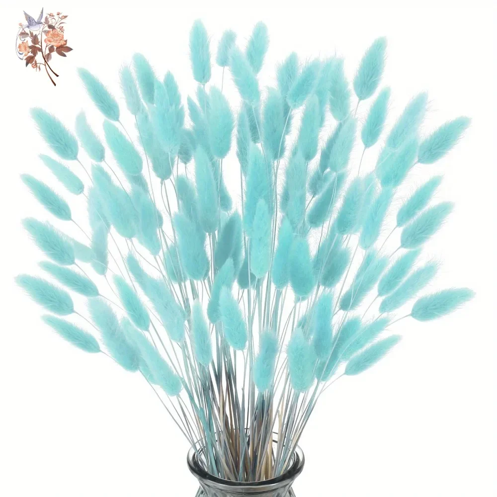 100 pezzi code di coniglio nat - Dried Flower Bunch recensione e prezzo