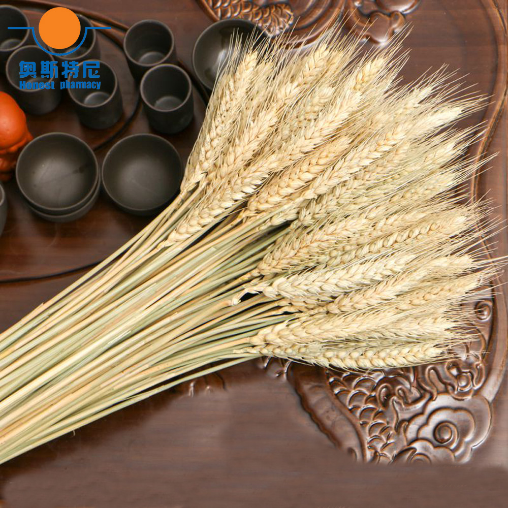 50 pz bouquet di fiori secchi  - Dried Flower Bunch recensione e prezzo