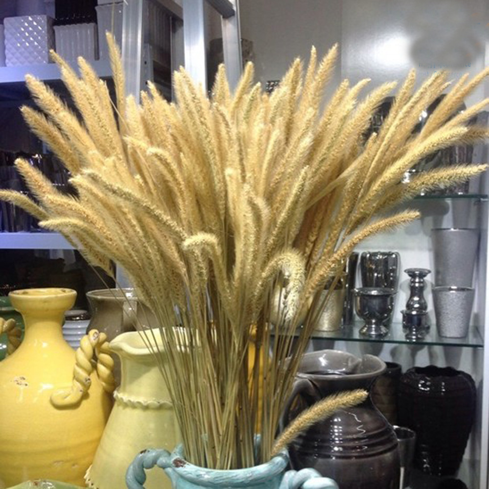 200 pz naturale essiccato Lagu - Dried Flower Bunch recensione e prezzo
