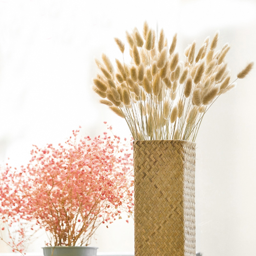 200 pz naturale essiccato Lagu - Dried Flower Bunch recensione e prezzo