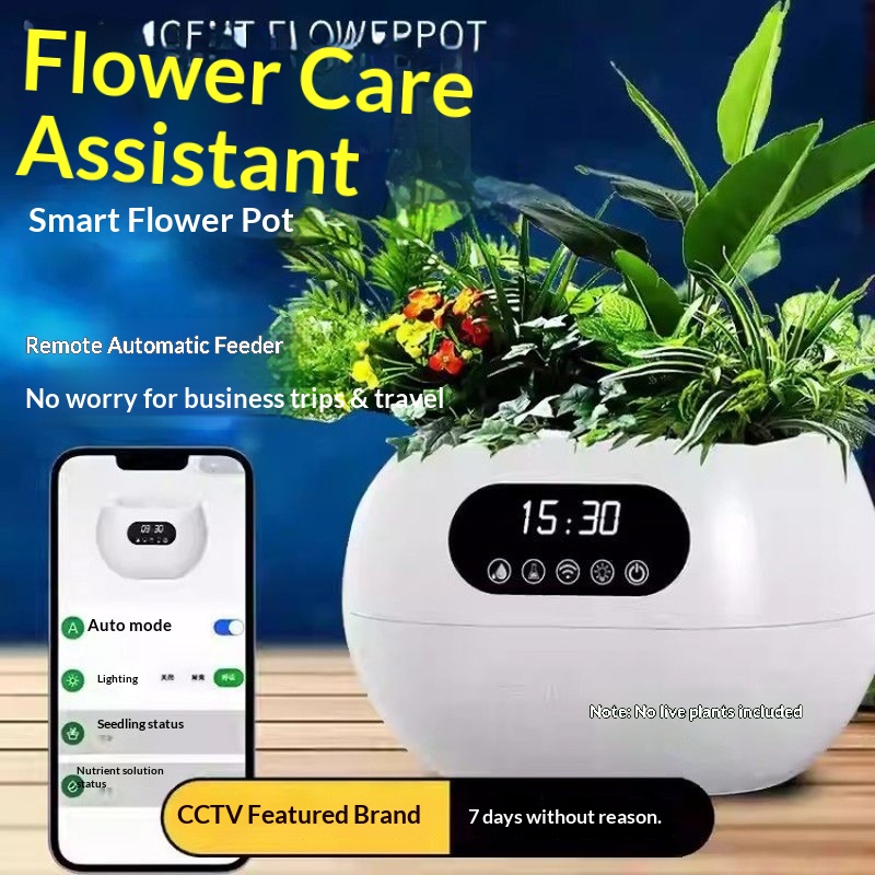 Vaso Intelligente AI con Irrig - Flower Supplies recensione e prezzo