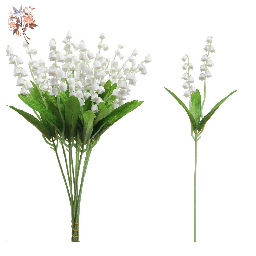 Giglio bianco della valle 10 p - Dried Flower Bunch recensione e prezzo